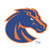 Boise State Broncos