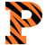 Princeton Tigers