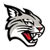 Davidson Wildcats